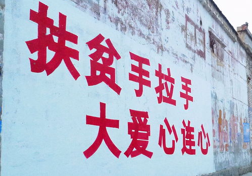 干部下沉，智治融合 岳西縣以社會(huì)咨詢服務(wù)推動(dòng)基層治理現(xiàn)代化