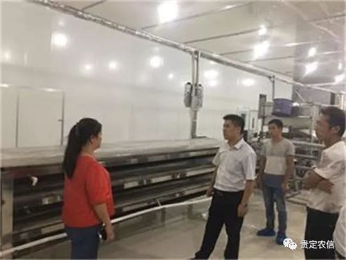 北京貴州米粉廠里的“金融夜校” 一碗粉背后的社會經(jīng)濟(jì)咨詢服務(wù)